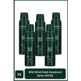 Watsons Wild Wind Deodorant Sprey Erkek Pudrasız 5x150ml