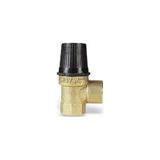 Watts 0217080N Svw 3/4" 8 Bar Emniyet Ventili