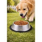 Weather Forecast Paslanmaz Çelik 22 Cm. 500 Ml. Gri Kaymaz Taban Kedi Köpek Mama ve Su Kabı MT251