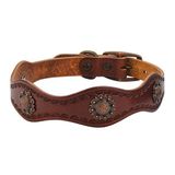 Weaver deri Sundance köpek tasması 1" x 21" Kahverengi