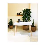 WEBPANYA Gürgen Retro Ahşap Ayaklı Handmade Beyaz Pofidik Puf Bench Koltuk Sandalye