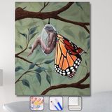 WebStyle Sayılarla Boyama Seti Kasnaklı Kelebeğin Uykusu 40 x 50 cm