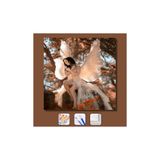 WebStyle Sayılarla Boyama Seti Kasnaklı Melek Kadın 40 x 50 cm