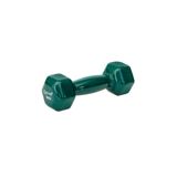 welcomein 2 Kg Yeşil Pvc Demir Dambıl Fizik Tedaviye Uygun Fitness Kardiyo Cross Fit
