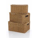 welcomein Rattan 3’lü Kapaklı Sandık Seti Hasır Saklama Kutusu Büyük Orta Küçük Boy Dekoratif Organizer Sepet