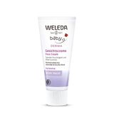 Weleda Derma 50 ml Nemlendirici Yüz Kremi