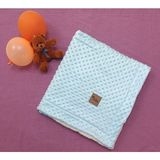 Welkın Nohut Desenli Welsoft Astarlı Çift Katlı Bebek Battaniye - Mavi - 85 X 95