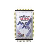 Wellbox 10/80 Yüksek Sinyal Toplama Özellikli 80 Daireli Merkezi Uydu Santralı Adaptör Dahil Multiswitch
