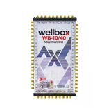 wellbox Yüksek Sinyal Toplama Özellikli 40 Daireli Merkezi Uydu Santralı Adaptör Dahil Multiswitch 10/40