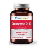 Wellcare Coenzyme Q10 100 mg 30 Kapsül