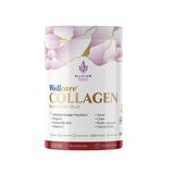 Wellcare Collagen Multi Boost Plus 345 Gr