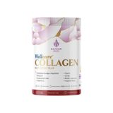 Wellcare Collagen Multi Boost Plus Nar Aromalı 345 gr Toz