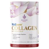 Wellcare Collagen Multi Boost Plus Nar Aromalı Toz Form 345 gr