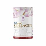 Wellcare Collagen Nar Aromalı 345 gr Toz