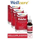 Wellcare Kidsfer Lipozomal Demir 3x30 ml Damla