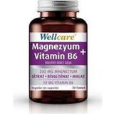 Wellcare Magnezyum + Vitamin B6 30 Tablet