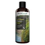 WellGreen 300 ml Çay Ağacı ve Papatya Özlü Kepek Karşıtı Şampuan