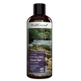 WellGreen Organik Sertifikalı Lavanta Özlü Canlandırıcı 400 ml Duş Jeli
