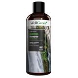 WellGreen Sertifikalı Aloe Vera Özlü Besleyici 400 ml Organik Şampuanı