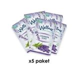 Wellnax Askılı Çekmece ve Dolap Koku Kesesi - Lavanta - 5 Adet