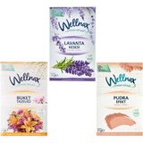 Wellnax Breeze Refresh 3’lü Dolap ve Çekmece Koku Kesesi Seti – Lavanta, Buket Tazeliği, Pudra Efekt (3 x 21 G)