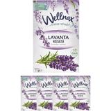Wellnax Breeze Refresh Dolap ve Çekmece Kokusu Lavanta Tazeliği Kesesi X5