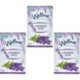 Wellnax Breeze Refresh Lavanta Kesesi Askılı Oda & Dolap Kokusu 21 G – 3’lü Set