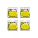 Wellnax Wc - Banyo Ferahlatıcı Blok Limon Ferahlığı Kokusu (4 Adet)