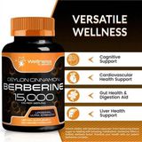 Wellnees Labsrx Wellneeslabs Liposomal Berberine + Ceylon Cinnamon+Turmeric + Ginseng + Ginkgo Biloba 15,000 mg – 120 - 120 KAPSÜL