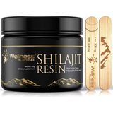 Wellness Labs Himalayan Shilajit For Men Resin With Fulvic Acid And Trace Minerals Immune Support 120 Servis