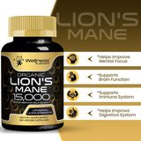 Wellness Labs Lions Mane Real Mushroom Brain, Memory And Focus Cognitive Immune 120 Caps - 120 KAPSÜL