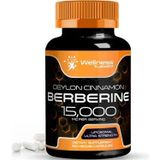 Wellness Labs Liposomal Berberine + Ceylon Cinnamon+Turmeric + Ginseng + Ginkgo Biloba 15,000Mg – 120