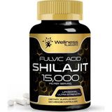 Wellness Labsrx Shilajit Pure Himalayan Organic 15,000 Mg 120 Veggie Kapsül Aromasız Ürün
