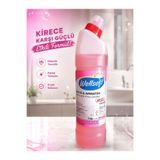 WellSoft PROFESYONEL KİREÇ ÇÖZÜCÜ BANYO, ARMATÜR, MUSLUK VE DUŞAKABİN TEMİZLEYİCİ