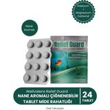 Wellvalens Relief Guard Çiğnenebilir Tablet Nane Aromalı Kalsiyum Karbonat Magnezyum Karbonat 24 Adet