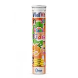Wellvit Kids C+D+Çinko Betaglukan 20 Efervesan Tablet