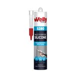 Welly Chem Aq311 Akvaryum Silikon 280 Ml Şeffaf