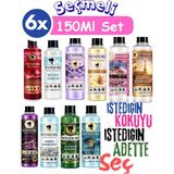 Wendore Sihirli Kokular Oda Kokusu 6x150ml Geniş Alan Koku Makinesi Parfüm Solüsyonu