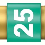 Wera 867/1 BDC TX 25x25 mm Bits