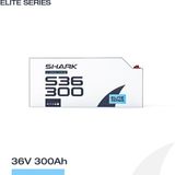 Werer Energy 36V 300Ah LiFePO4 Lityum Demir Fosfat Batarya/Akü - Bluetooth/Wifi