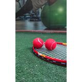 Werkon 2 Adet Antrenman Tenis Topu Kırmızı, Tek Ebat, WRKN02KRMZ, KIRMIZI