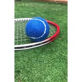 Werkon 2 Adet Antrenman Tenis Topu Mavi, Tek Ebat, WRKNTPMV2, MAVİ