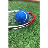 Werkon 2 Adet Antrenman Tenis Topu Mavi