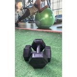 Werkon 2 kg Dambıl Set 2 Adet