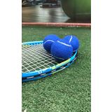 Werkon 3 Adet Antrenman Tenis Topu Mavi