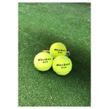 Werkon 3 Adet Antrenman Tenis Topu Sarı, Tek Ebat, WRKN3SRT, SARI