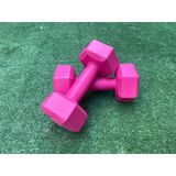 Werkon Pembe Plastik Dambıl Seti 1 Kg 2 Adet