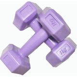Werkon Werkon1 kg Dambıl Set 2 Adet - 1 kg x 2 Adet - Mor