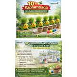 Wesank 10 Paket Kaplumbağa Çim Yetiştirme Kiti (Boya+Fırça+Toprak+Tohum+Kaplumbağa)