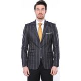 Wessi Erkek Çizgili Slim Fit Ceket - Füme - 48